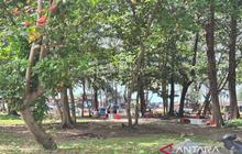 Pembangunan Gazebo Pantai Bengkulu: Pemkot Alokasikan Rp1 Miliar untuk 100 Unit Fasilitas Wisata