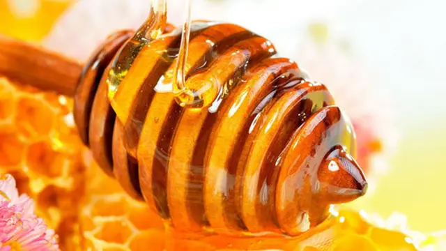 Foto : copyright beependent.wordpress.com