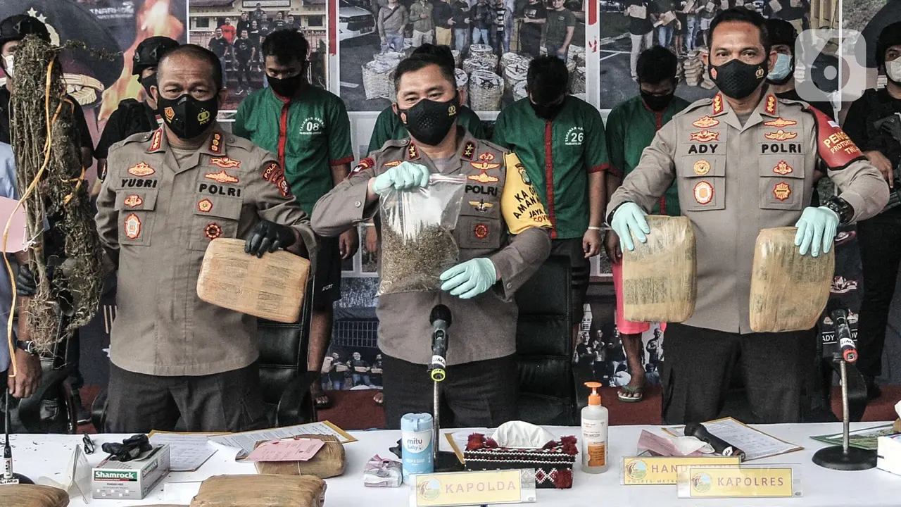 Pengungkapan Ladang Ganja Seluas 12 Hektare