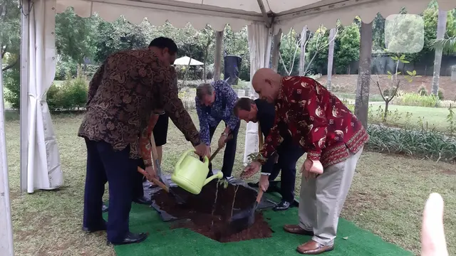 Pohon di Kedubes Inggris dalam rangka Queen's Green Canopy.