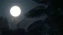 Matahari menyinari pohon palem di Jakarta, pada 10 Juni 2021, sebelum terjadi gerhana matahari. Gerhana matahari cincin itu tidak dapat dilihat dari Indonesia. Gerhana tersebut hanya dapat disaksikan di Pulau Ellesmere dan Baffin di Kanada. (AFP/Bay Ismoyo)