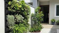 Desain Taman Depan Rumah Anti Ular dengan Batu Koral Putih (AI)