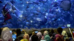 Sejumlah pengunjung melihat aksi Penyelam mengenakan kostum Santa Claus saat memberikan makanan kepada kumpulan ikan di aquarium besar Sea World, Taman Impian Jaya Ancol, Jakarta, Minggu (25/12). (Liputan6.com/Faizal Fanani)