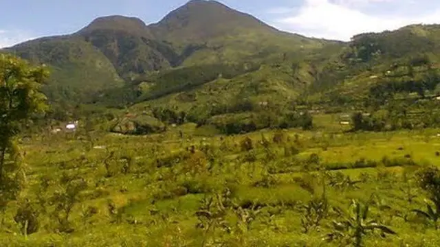 Gunung Rogojembangan
