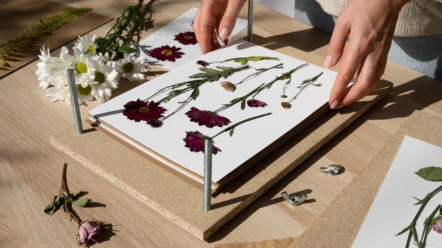 Pressed Flowers
