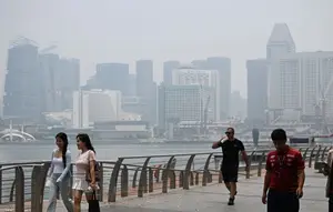 Singapura Ungkap 10 Perusahaan RI Diduga Terlibat Kebakaran Hutan Kalimantan