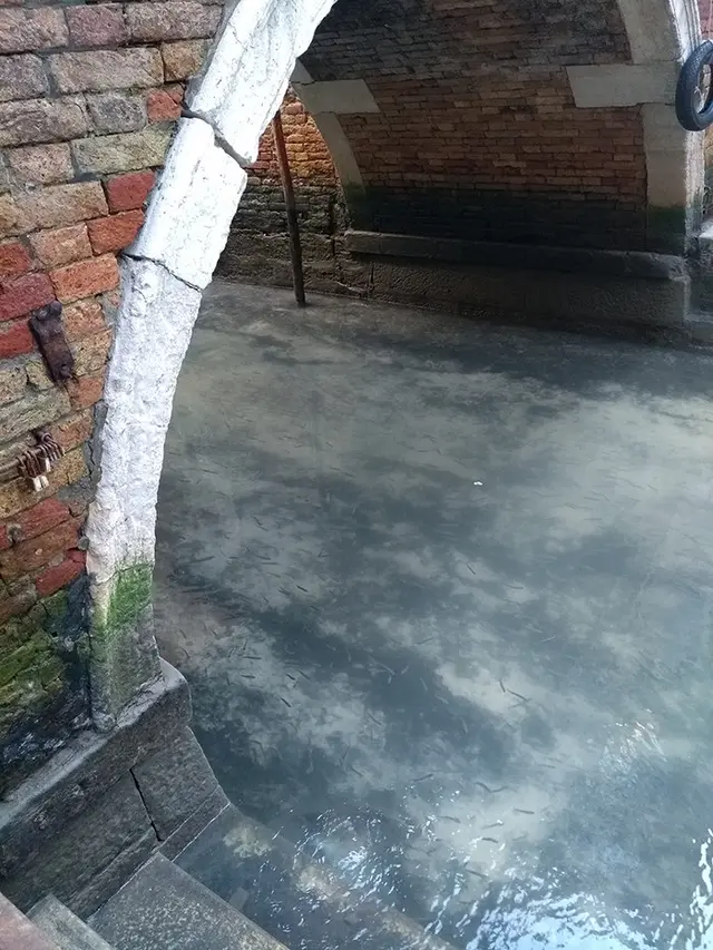 Ditutup karena Corona, Ini Potret Air Sungai di Venesia Jadi Jernih dan Bersih