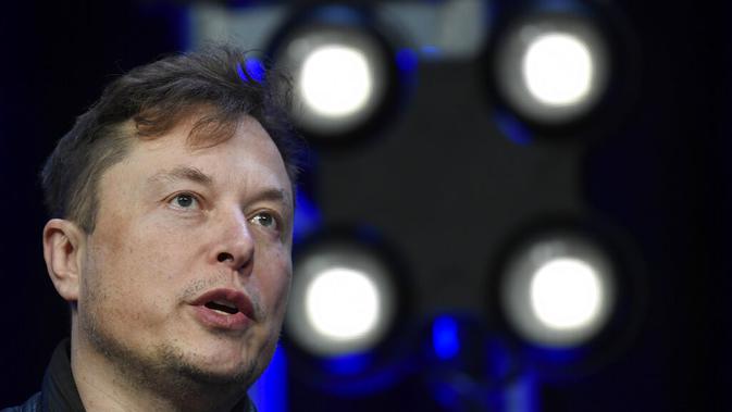 Elon Musk. (AP Photo/Susan Walsh, File)