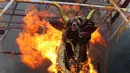 Sebuah bade raksasa berbentuk banteng yang berisi tubuh Anak Agung Niang Agung terbakar saat upacara ngaben keluarga Kerajaan Puri Ubud di Bali, Indonesia, Jumat (2/3). Anak Agung Niang Agung adalah keluarga Kerajaan Puri Ubud (AP Photo/Firdia Lisnawati)