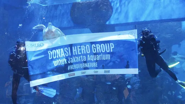 Mendukung Kelestarian Biota Laut di Jakarta Aquarium