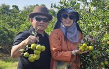 Wajah Ceria Eks Kasad Bareng Istri Tercinta Panen Jeruk, Makin Semangat Berkebun Bawa Kebahagian