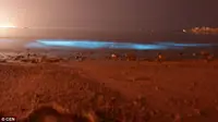 Kota Qingdao di Provinsi Shandong, China mendadak ramai dikunjungi wisatawan karena fenomena cahaya biru yang terjadi di pesisir pantai.
