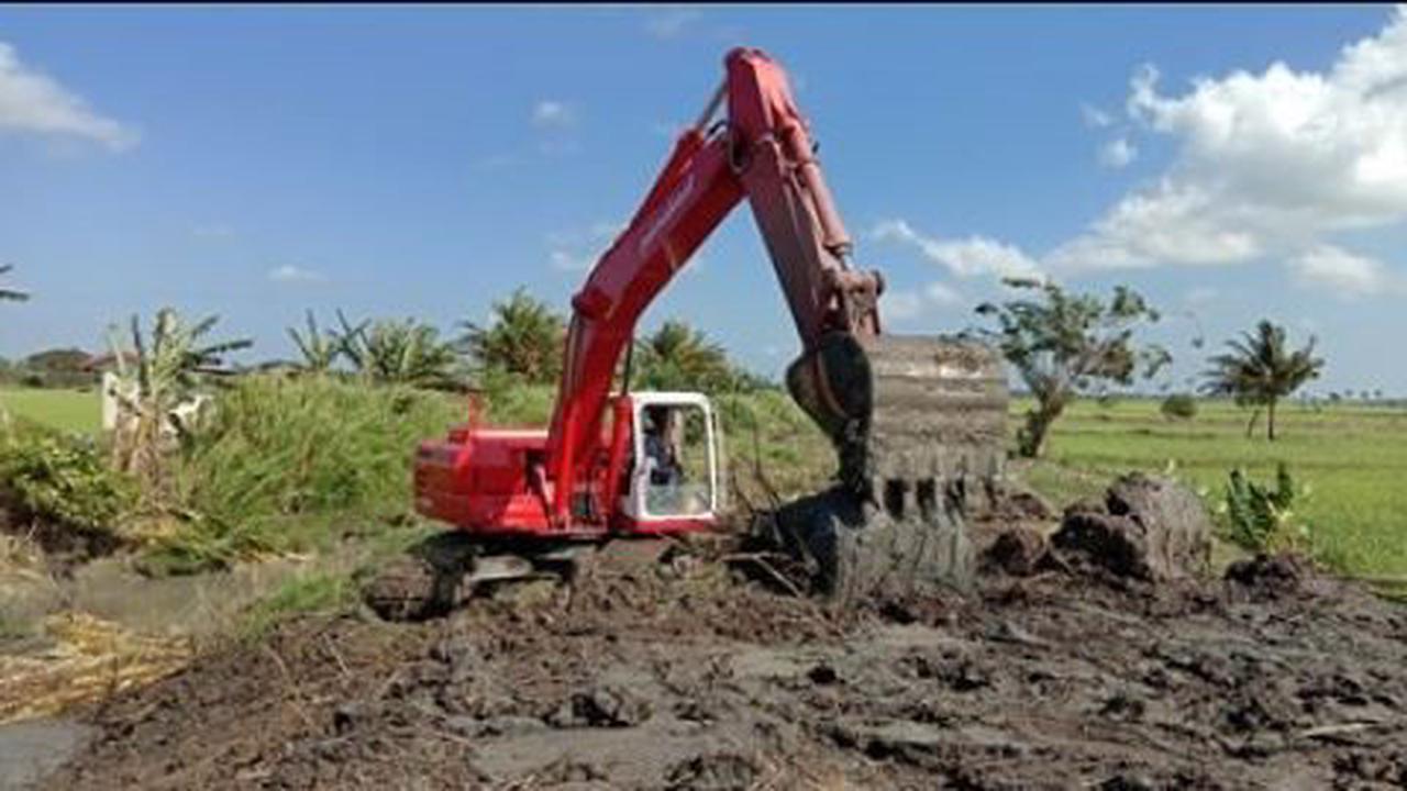 Optimasi Lahan Rawa, Cara Kementan Tingkatkan Produktivitas Pertanian di Sulsel