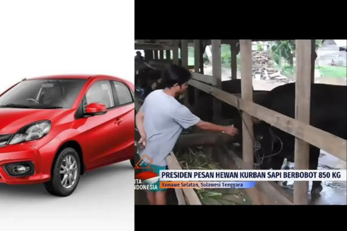 Presiden Joko Widodo Beli Sapi Kurban
