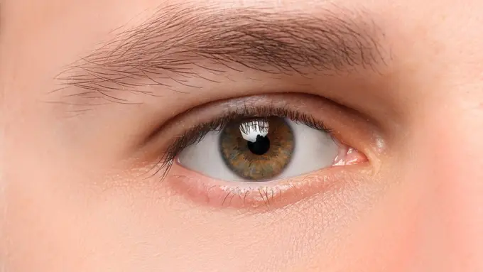 Ilustrasi Kesehatan Mata