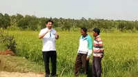 Kementerian Pertanian kembali mengingatkan petani untuk memanfaatkan Asuransi Usaha Tani Padi (AUTP).