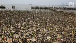 Tumpukan sampah terlihat di antara hutan mangrove di kawasan Muara Angke, Jakarta Utara, Sabtu (14/4). Sampah-sampah yang terbawa oleh arus tersebut berdampak besar pada rusaknya hutan mangrove. (Liputan6.com/Johan Tallo)
