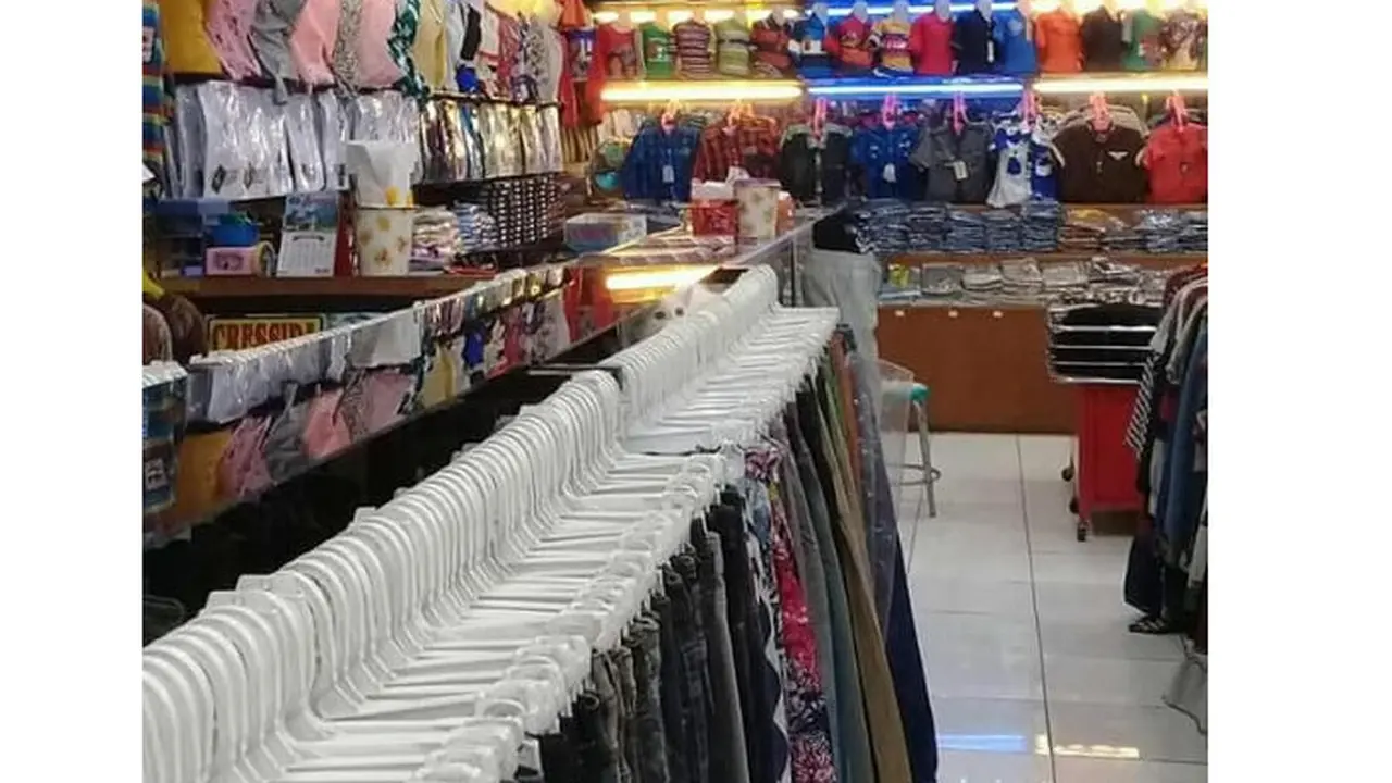 Tes Kejelian Mata, Yuk Coba Cari Kucing Pada Gambar Ini