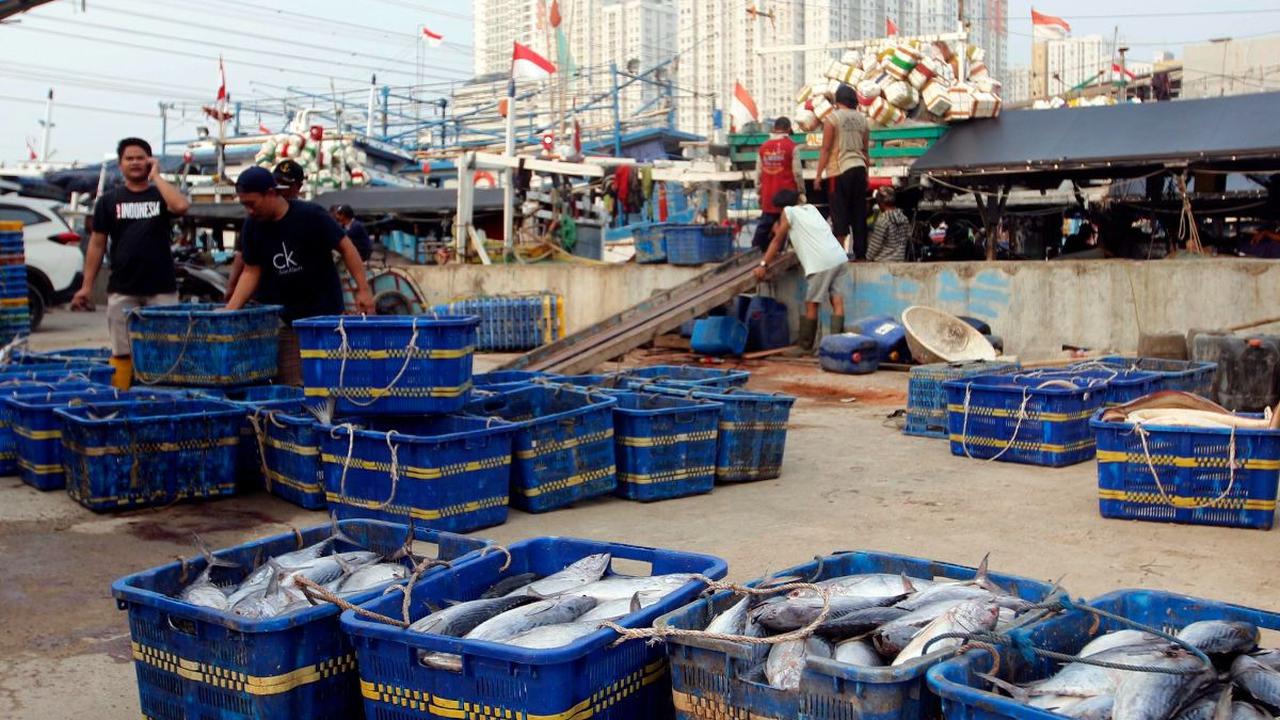 Oleh karena itu, Perikanan Indonesia akan mencoba menyuplai kebutuhan pasar tersebut, sebab kebutuhan ikan cakalang di Negeri Sakura sangat besar.