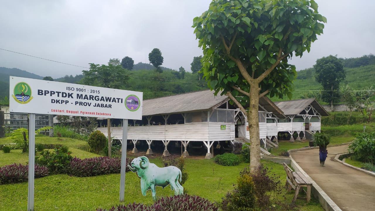 Berada di Kampung Sukanegla, Garut Kota, Garut, Jawa Barat hingga kini tercatat sebagai balai pembibitan domba Garut terbesar tanah air kebanggan negeri.