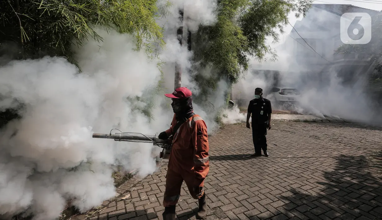 Petugas melakukan pengasapan (fogging) ke bagian pepohonan kawasan rumah warga, Pesanggrahan, Jakarta, Kamis (6/10/2022). Pengasapan ini diharapkan dapat mencegah penyakit DBD didaerah tersebut. (Liputan6.com/Johan Tallo)
