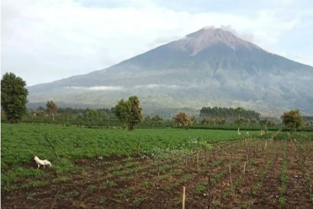 Pendaki Gunung Kerinci