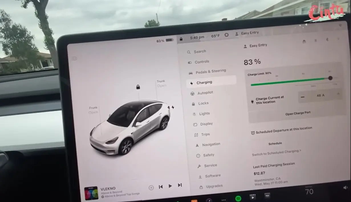 Cinta mengaku sudah merasakan model Y ini sangat multifungsi tanpa ribet. Layar monitor yang bisa digunakan untuk memantau beberapa kecanggihan mobil yang digunakan. Model minimalis tapi canggih. [Youtube/Cinta]