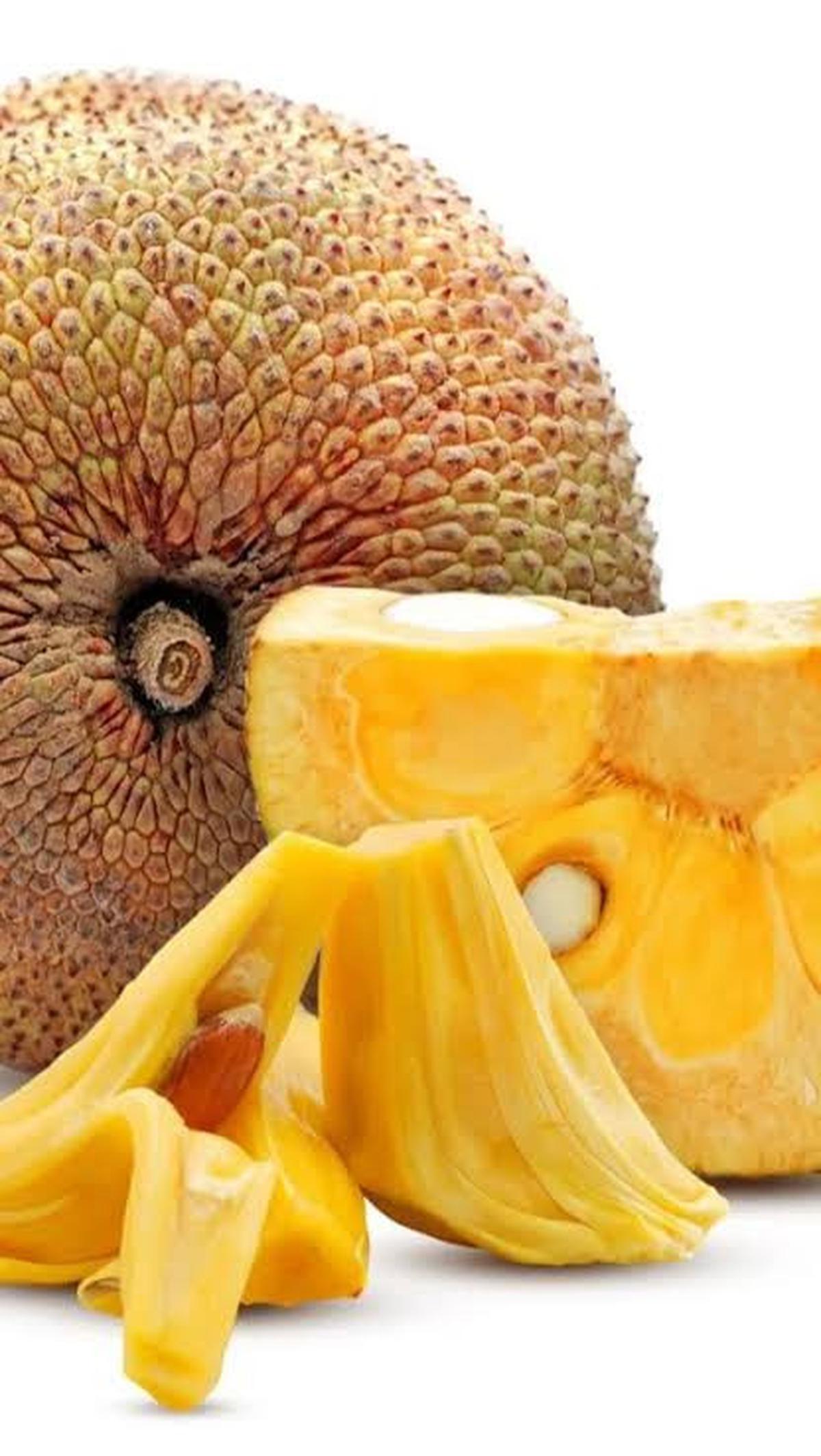 tekstur kulit nangka
