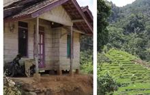 Potret Rumah di Garut dengan Pemandangan Terasering Bak Surga, Keindahannya Bikin Terpana