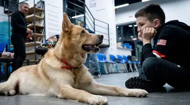 Seekor anjing bernama Nike terlihat sedang mengikuti sesi terapi anjing di Kyiv, Ukraina, Kamis, 26 Oktober 2023. (AP Photo/Roman Hrytsyna)