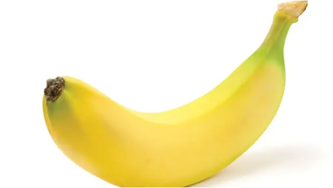 Foto: copyright conservationmagazine.com