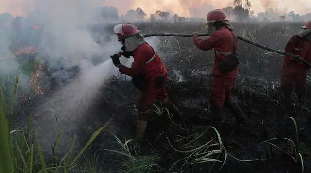 Kementerian Lingkungan Hidup Segel 57 Perusahaan Penyebab Kebakaran Hutan