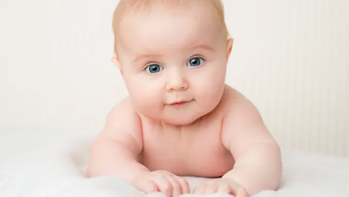 Foto: copyright Thinkstockphotos.com