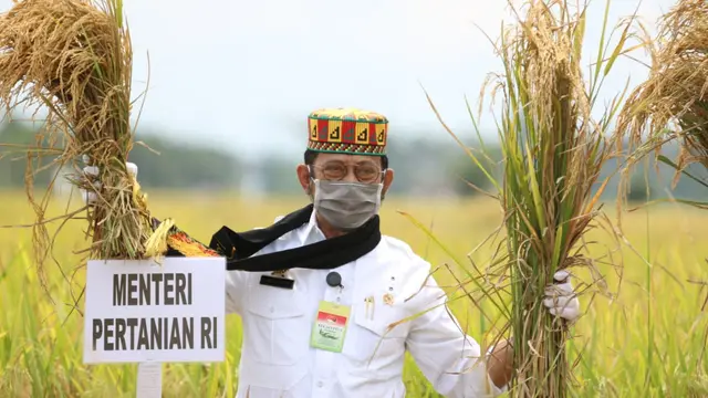 Panen Raya