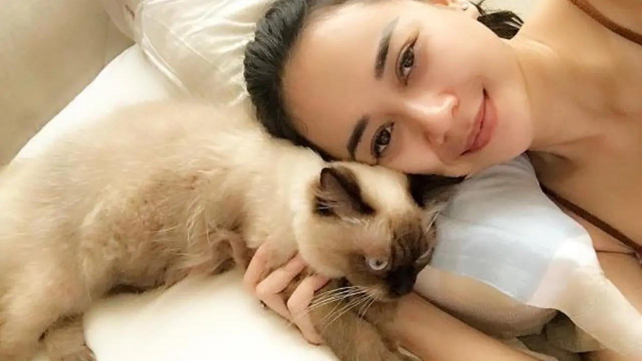 [Bintang] Aura Kasih