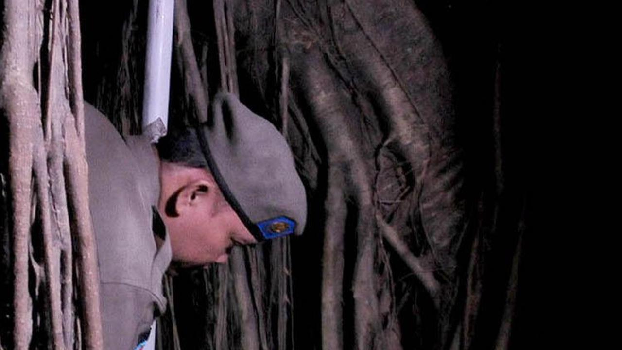Sederet Upaya Cegah LGBT di Hutan Kota Cawang: Satpol PP Jaga 24 Jam hingga Tambah Lampu Sorot