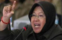 Catatan prestasi Jokowi, Tri Risma, Syahrul