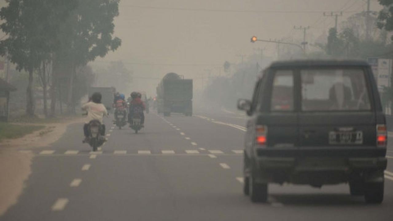 Perjuangan warga padamkan kebakaran hutan dengan alat seadanya