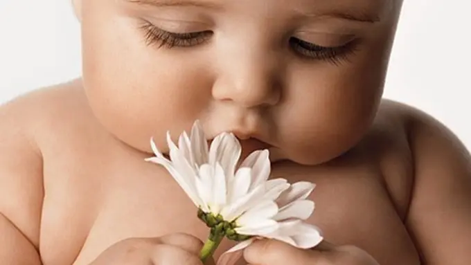 (c) goodlightscraps.com