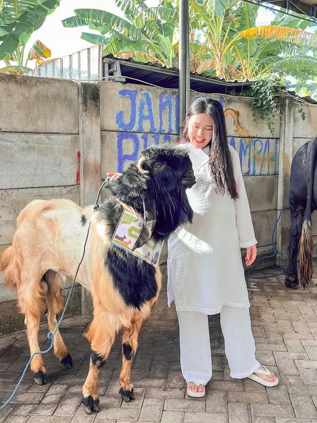 8 Potret Artis Bareng Hewan Kurbannya Sebelum Disembelih, Kambing hingga Sapi Jumbo