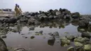 Pekerja melanjutkan kampanye pembersihan tumpahan minyak di Pantai Pocitos, Ancon, Peru, 15 Februari 2022. Sebulan berlalu, pekerja melanjutkan pembersihan di pantai setelah terkontaminasi tumpahan minyak Repsol. (AP Photo/Martin Mejia)