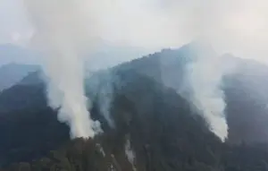 Pemadaman Kebakaran Gunung Arjuno-Ringgit Terkendala Alat