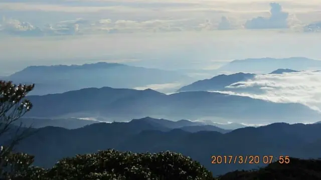 Gunung Kurik, gunung tertinggi di Aceh Timur. (Dok: @univ_syiahkuala https://www.instagram.com/p/BiBBoWOFe7l/?img_index=3&igsh=MTFwYXRlbG42MnJlNg%3D%3D)