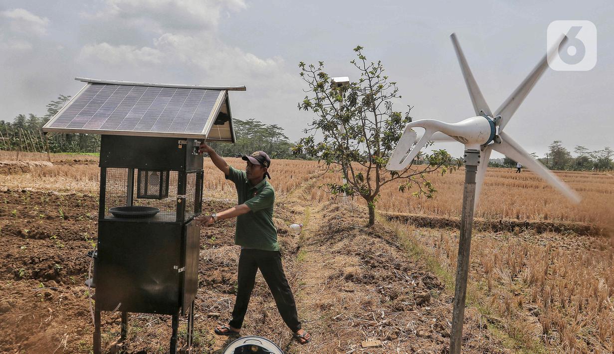 Salah satunya program untuk mengatasi keterbatasan akses irigasi pertanian tadah hujan. (Liputan6.com/Angga Yuniar)
