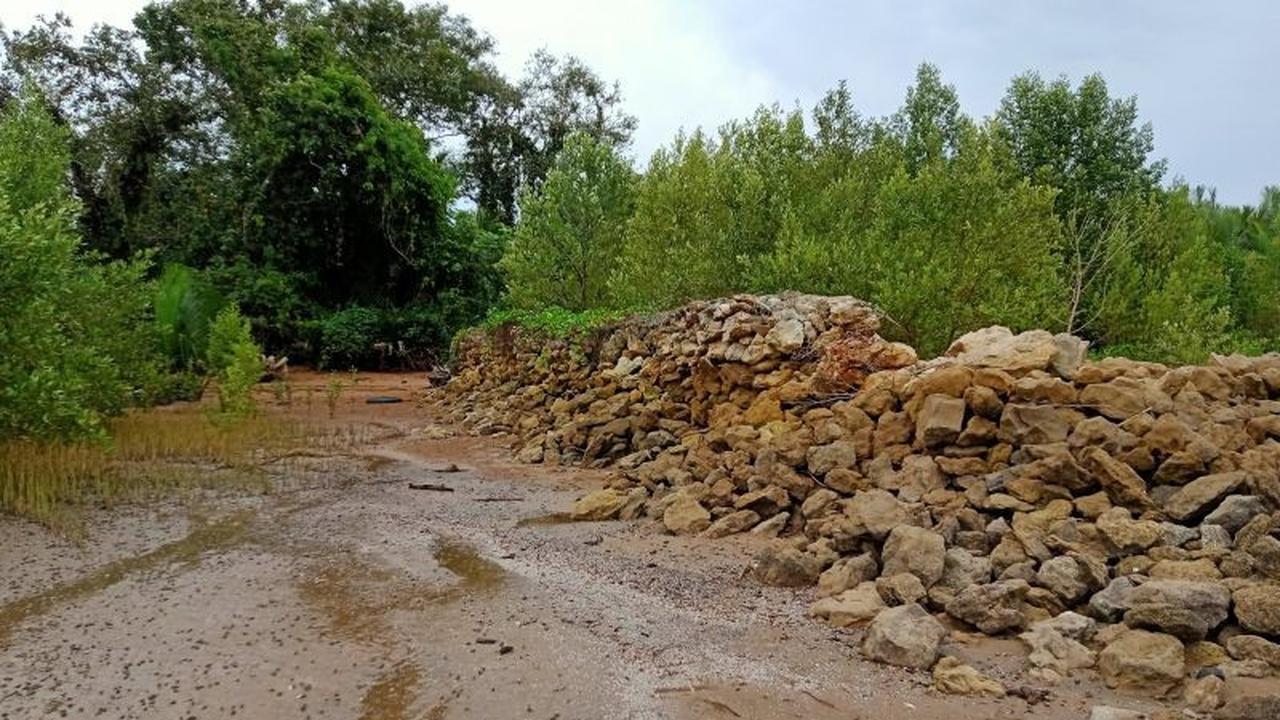 Pemkab Penajam Paser Utara Minta Bantuan Pemprov Kaltim untuk Penanganan Abrasi Pesisir