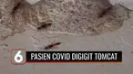 Puluhan pasien Covid-19 yang sedang isoman di Sport Center Kota Banjar mengalami gatal-gatal disertai panas, karena diserang tomcat. Akibatnya, pasien dipindahkan dari tempat isolasi tersebut ke RS Asih Husada.