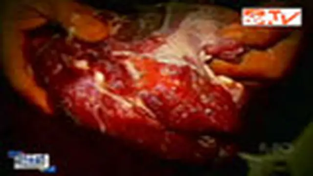 Waspadai Daging Rekondisi!