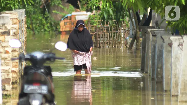Penampakan dari Udara Banjir di Karawang
