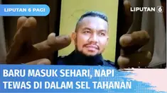 Baru sehari diamankan karena mabuk dan diduga mengancam tetangganya, pria bernama Amis Lando tewas di dalam sel tahanan Polres Muna. Pihak keluarga mengamuk dan menduga korban dapat kekerasan fisik saat berada di tahanan.