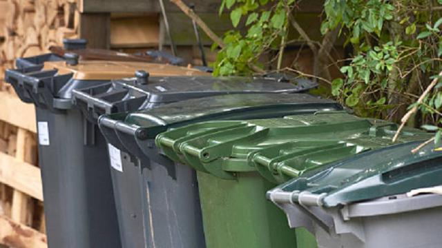 Ilustrasi tong sampah (iStock)